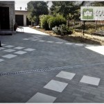 CAM00591-005